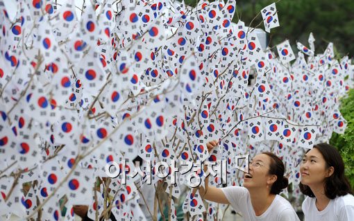 [포토] '태극기가 나무에 주렁주렁~'