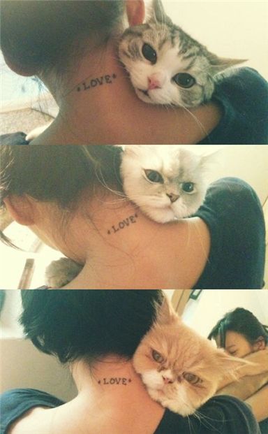 이효리 문신 사진 공개…"고양이도 효리 포스~" 깜찍 