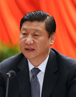 시진핑 중국 국가 부주석