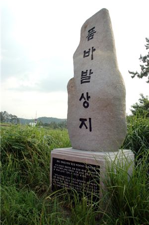 [여행]품바타령에 세상 시름 씻어 볼까나, 연꽃향에 잊어 볼까나
