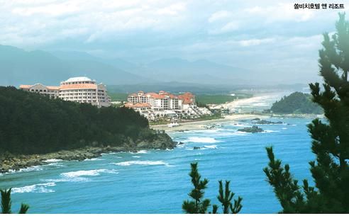 분양마감임박!! 대명리조트,대명콘도 천만원대 실속형회원권!!