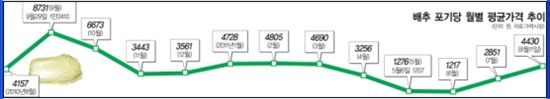 "배추파동, 비켜갈 수 없다"..왜