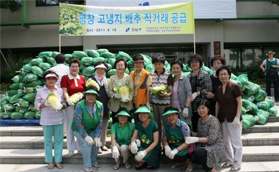 평창 고랭지 배추 직거래 장터 