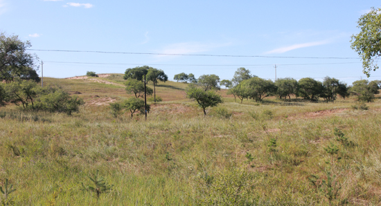 [르포] 중국 사막화 현장, 어도구 초원을 가다