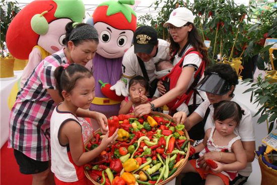 청양고추, 구기자축제 행사장 안에 있는 고추전시관에서 어린이와 관광객들이 고추를 만져보고 있다.