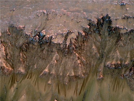 미 항공우주국(NASA)의 화성탐사우주선에 장착된 고해상도 카메라가 찍은 해상 표면 사진. 폭 0.45~4.5m의 물줄기들이 형성된 것으로 봐서 화성에 소금기 있는 물이 흘렀던 것으로 추정된다. <사진 제공=나사>