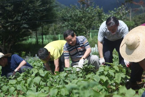 석탄公, 원주서 1사1촌 농촌봉사활동 