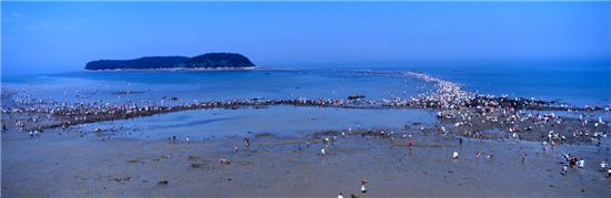 신비의 바닷길이 열려 관광객들이 몰려든 보령 무창포해수욕장 해변 전경.