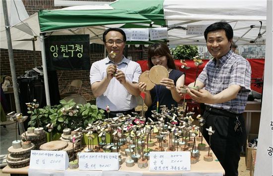 태풍 피해목으로 목공예 만들어 어려운 이웃 도와