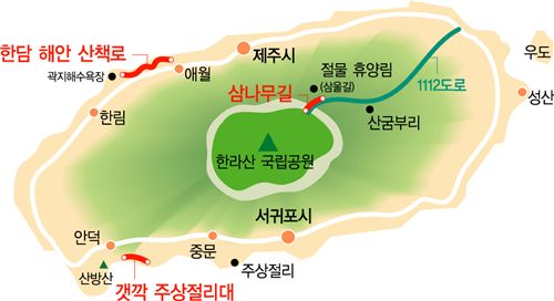 [여행]제주도 숨겨논 미니 산책길 가을 마중