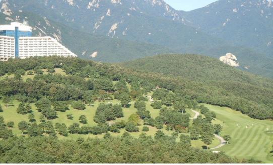 대명리조트 1000만원대 하프 패밀리 회원권 분양