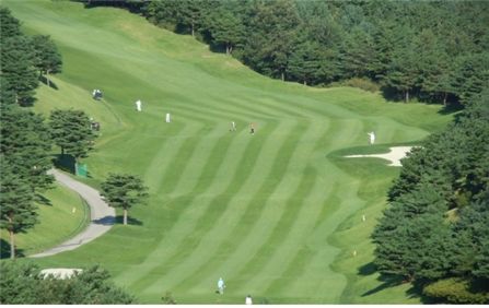 대명리조트 1천만원대 회원권 선착순 분양