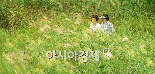 [포토] 가을 산책