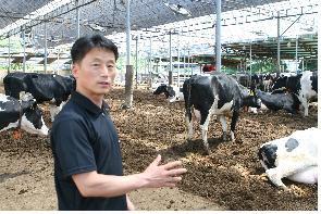 그로텍을 사용, 소의 부르셀라병을 치료한 김익수 하원농장 대표.