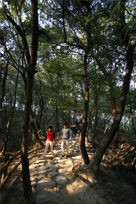 북한산 둘레길 소나무숲길 걷기 