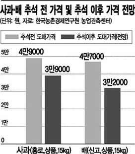 금값이던 과일 이제 사먹겠네 