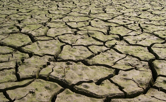 기후변화 속 '천수답 농업' 앞날은