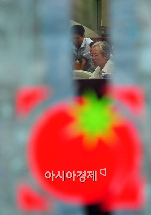 [포토] 곪아서 터져버린 토마토