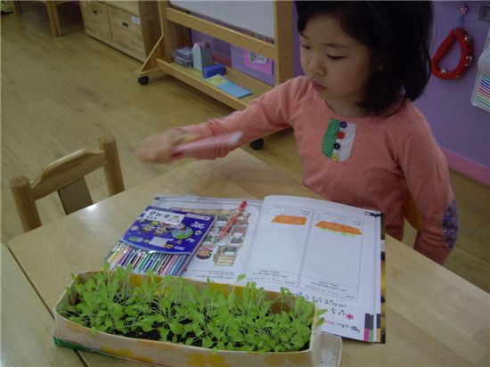 강북구 채소 먹는 어린이 만들기 프로젝트 전파 