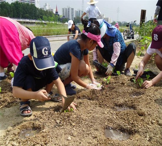 도봉구, 중랑천변에 친환경 텃밭 조성 