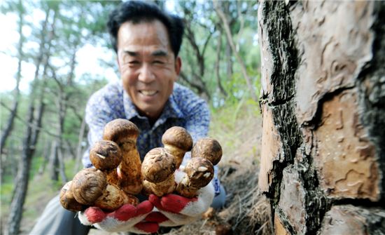 [여행]五感 유혹-대한민국 가을축제 5選