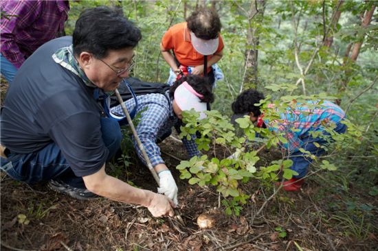 [여행]五感 유혹-대한민국 가을축제 5選