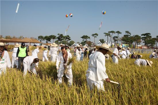 [여행]五感 유혹-대한민국 가을축제 5選