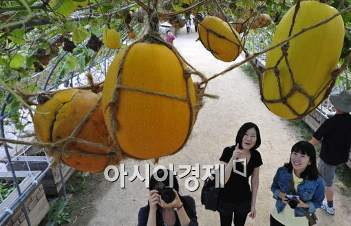 [포토] 깊어가는 도심 가을