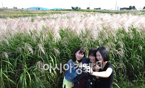 [포토] 여심도 반한 가을풍경