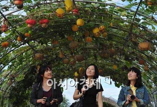 [포토] 가을 터널