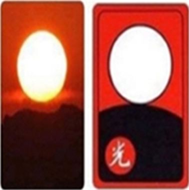 화투 실사판 공개…"싱크로율 99%의 완벽 닮은꼴"