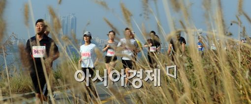 [포토]억새 사이로 힘찬 질주!
