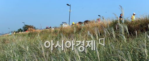 [포토]평창동계올림픽 성공기원 2011 일요마라톤