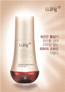 홍삼, 이제 '피부'를 위한다 