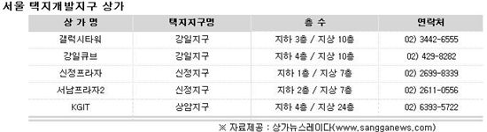 '동분서주'...서울 택지지구 상가 눈길