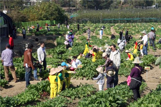 강동구, 친환경 도시농업 축제마당 열어 