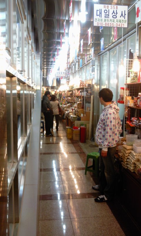 "환율 오르면 혈압 오른다..재고만 팔고 있어요"