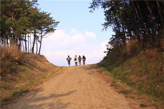 대구 팔공산 올레길 풍경                                                                              (대구직할시청 제공)