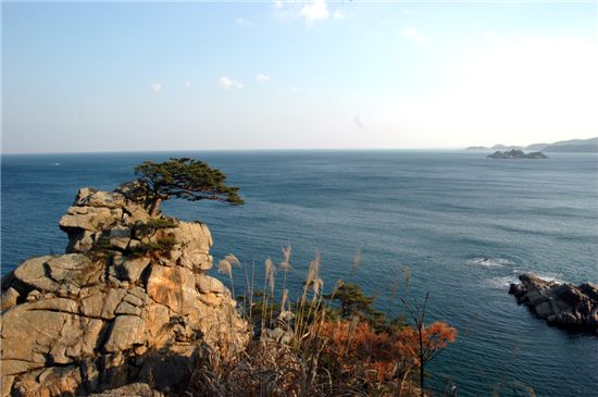구불구불 옛길인 양양 구룡령을 넘어서면 동해바다가 눈앞에 펼쳐진다(화조대)