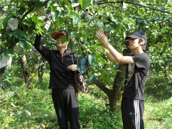 중랑구 황실배 주말농장 가족봉사단 떴다