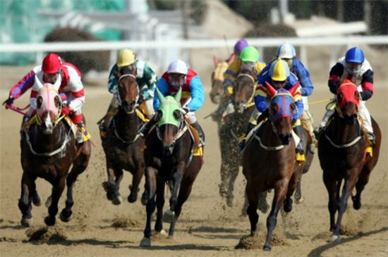 [주말레이싱] 주몽 vs 불패기상 3억 놓고 싸운다