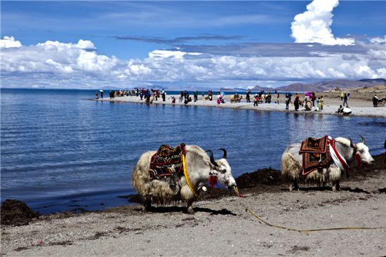 사진작가 백지현|‘여행자의 풍경’ 展, 갤러리 브레송에서 20일까지