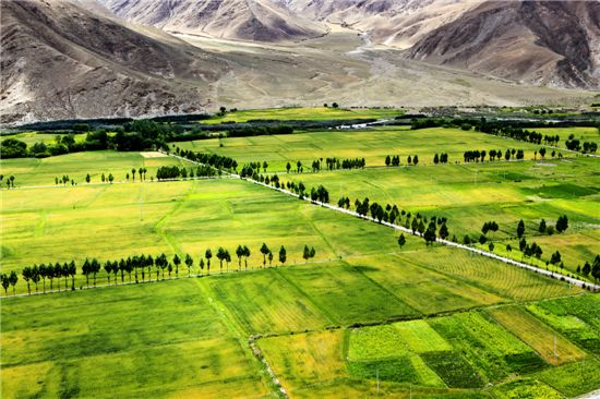 사진작가 백지현|‘여행자의 풍경’ 展, 갤러리 브레송에서 20일까지