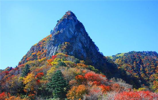 기차 타고 떠나는 ‘가을단풍여행 5선’