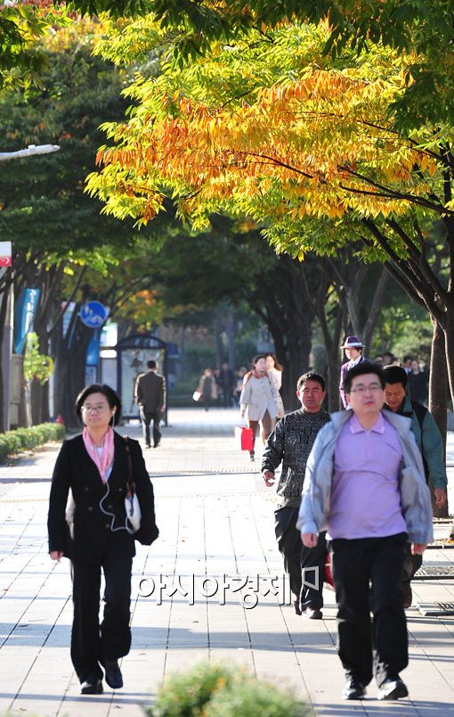 [포토] 서울 단풍