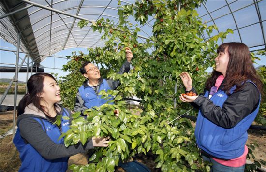 삼성물산, 가을맞이 농촌 일손 돕기 봉사활동 나서