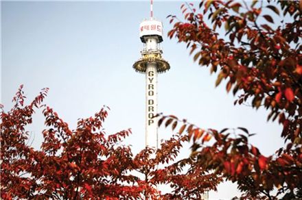 여기는 단풍랜드 구경 한번 오세요