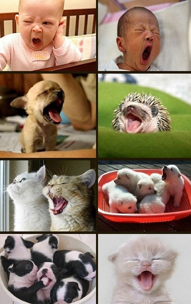 ▲사진=온라인 커뮤니티 