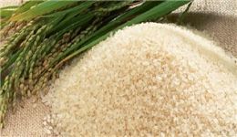 20㎏ 쌀값, 한달새 2000원 올랐다