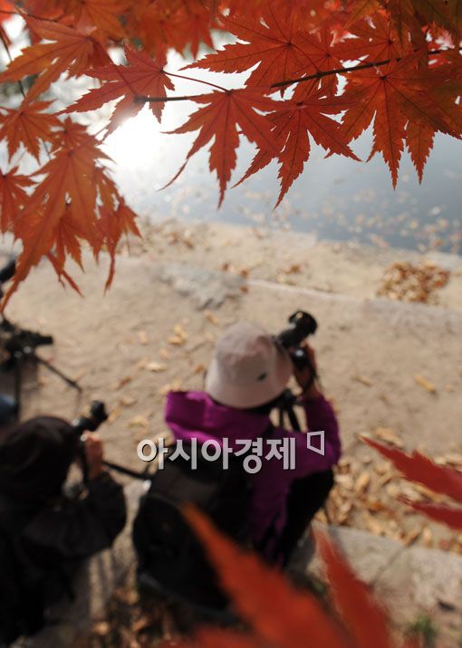 [포토] '가을을 담는 사진사'